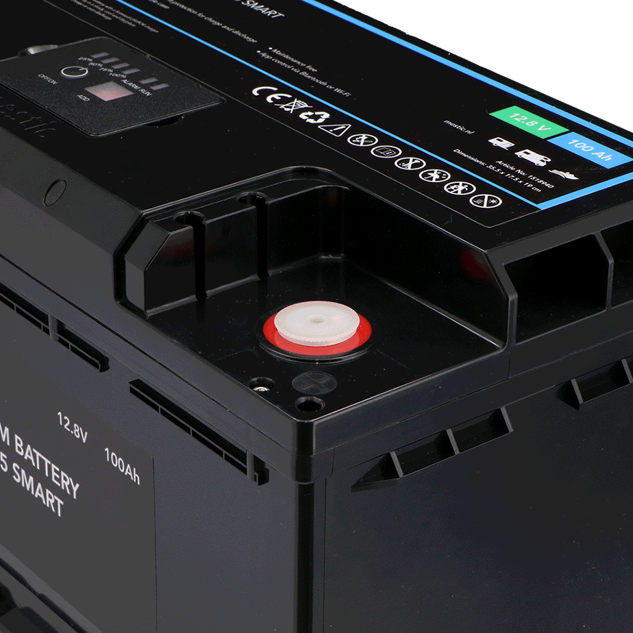 Lithium battery MLBS-100 LN5 smart