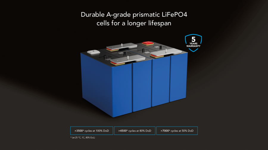 Lithium battery MLBS-100 LN5 smart